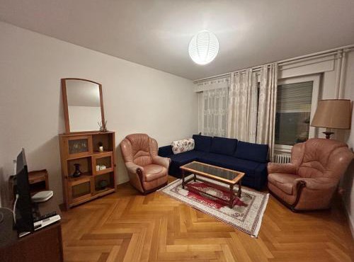 Cozy 1 Bedroom in Central Geneva
