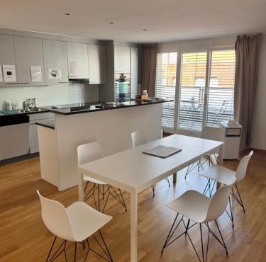 New Penthouse Loft with Rooftop Terrace 50sqm, Hot Tub, Open Kitchen Island, 2 BR, City Center