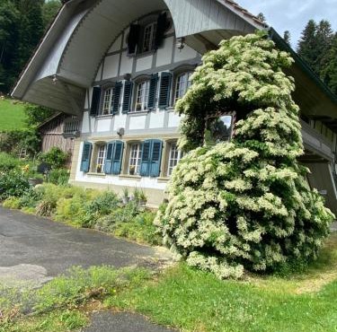 B&B tannen124