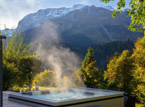 Hotel Waldegg - Adults only