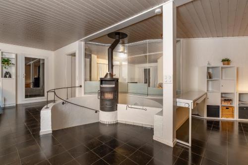 2 Villas with Lake and Mountain View 15 Minutes to Interlaken