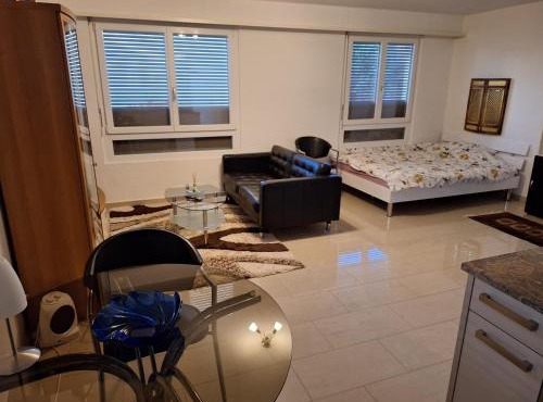 Grosse 1-Z-Wohnung