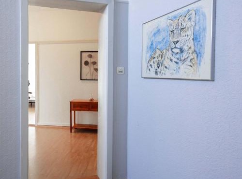 Spacious Zurich Apt Huge Terrace & Views
