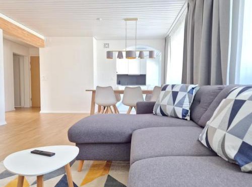 Apartment for 7, close to Zurich and Luzern, free private parking