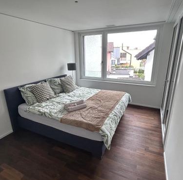 Swiss Horizon - Moderne Businesswohnung, chic & zentral