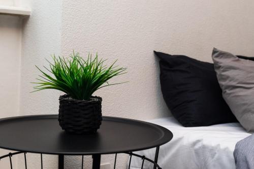 Citycenter Apartment with Parking