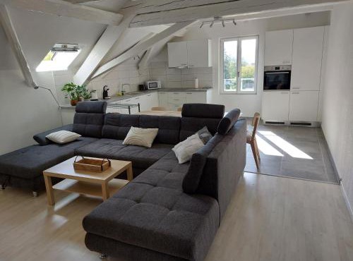 gîtes gorevirat 2 appartements avec jacuzzis et terrasses privatives pour chaque appartement
