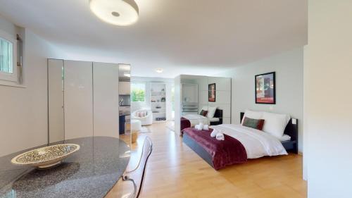 Spacious studio in a quiet area of Sierre
