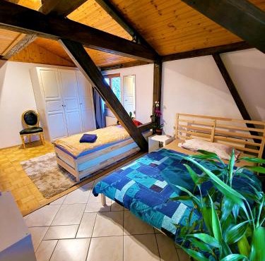 Blau bright room in nice apartment